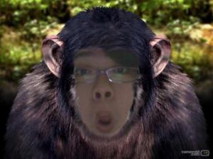 Ever see a chimpanzee with a specs? lol